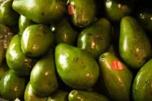 SlimCado avocados sold at Melendez Imports in Berrien Springs, Michigan